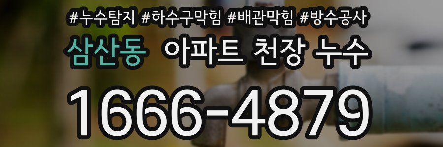 삼산동 아파트 천장 누수