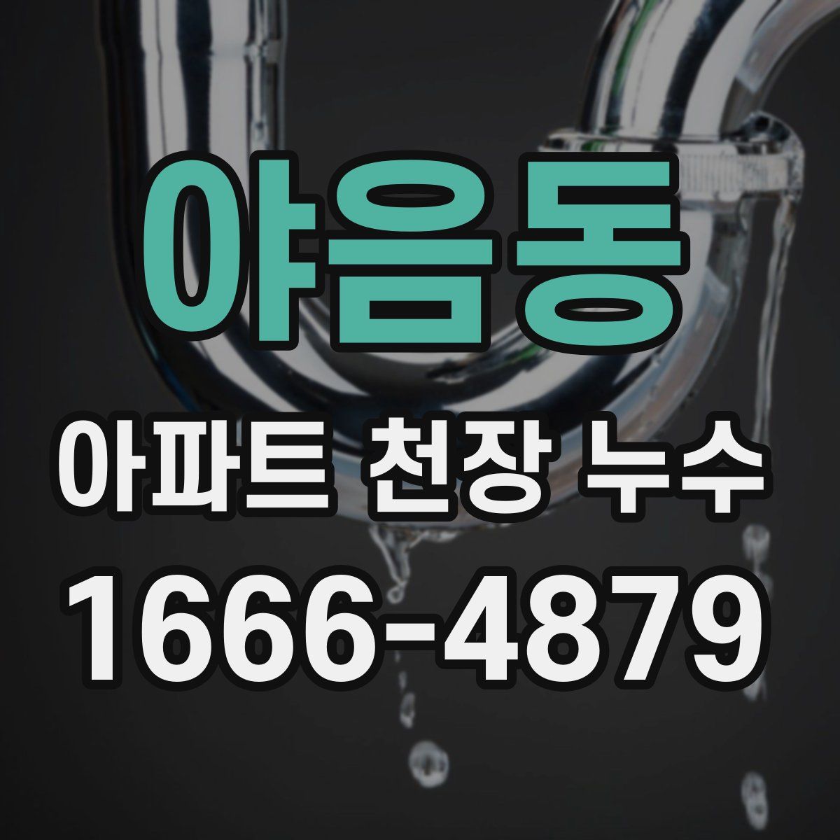 야음동 아파트 천장 누수