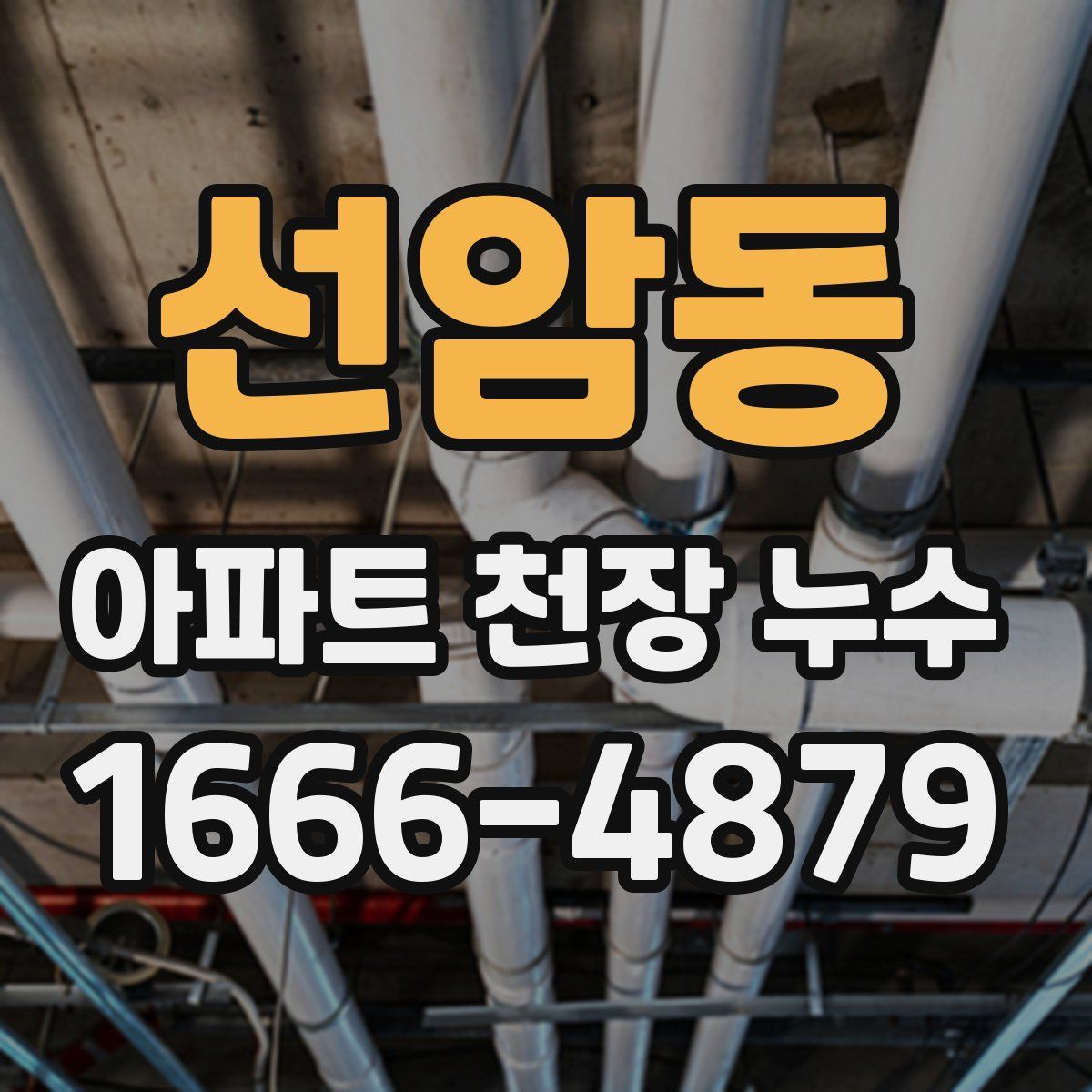 선암동 아파트 천장 누수