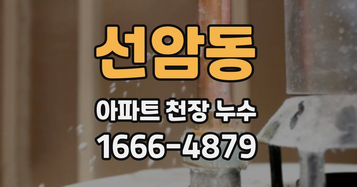선암동 아파트 천장 누수
