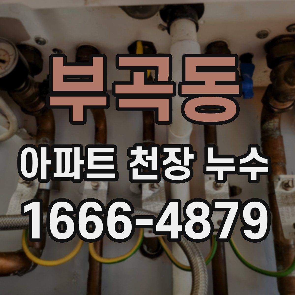 부곡동 아파트 천장 누수