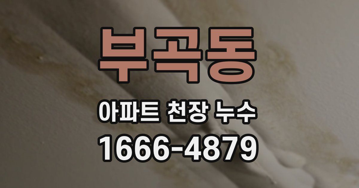 부곡동 아파트 천장 누수