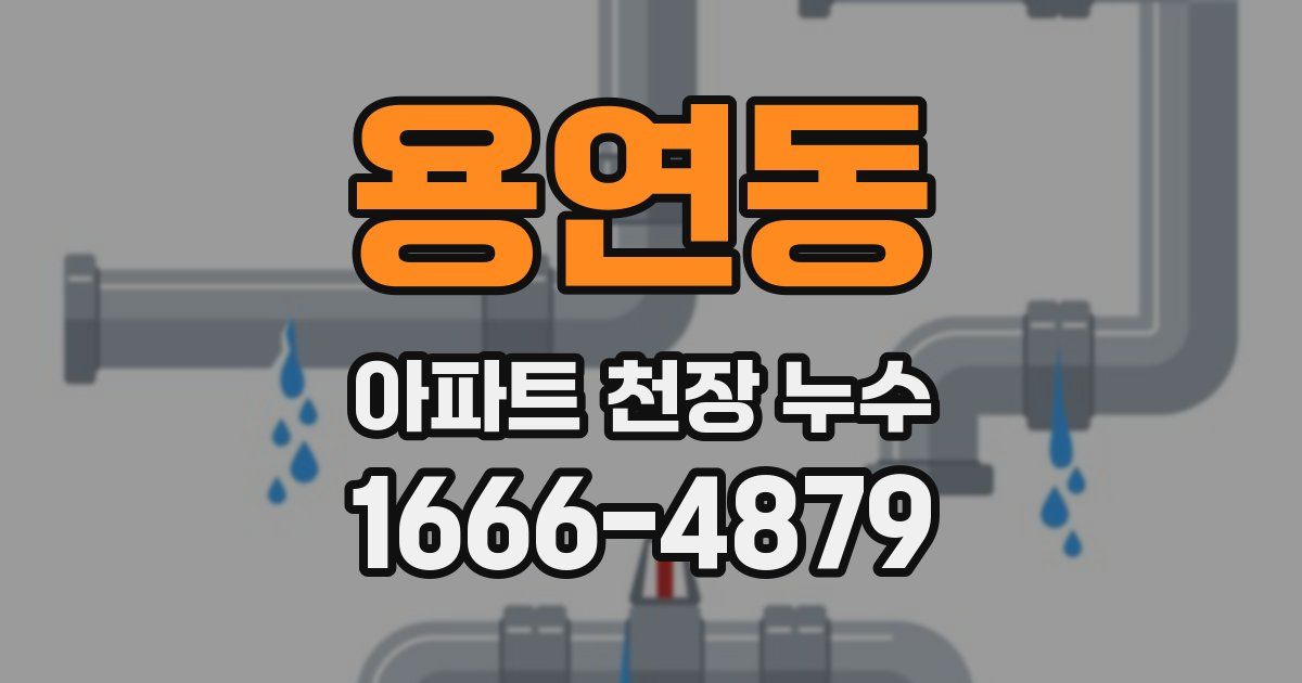 용연동 아파트 천장 누수