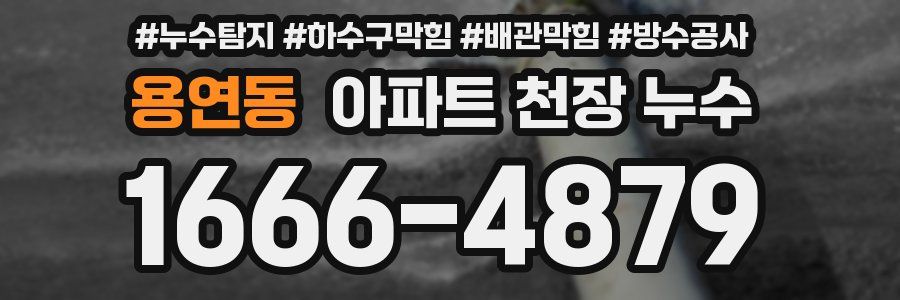 용연동 아파트 천장 누수