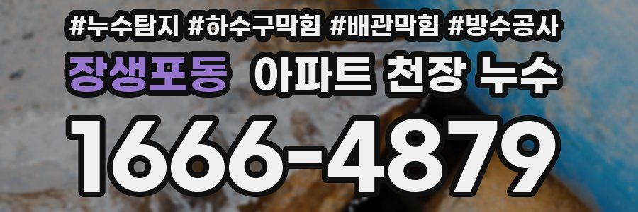 장생포동 아파트 천장 누수