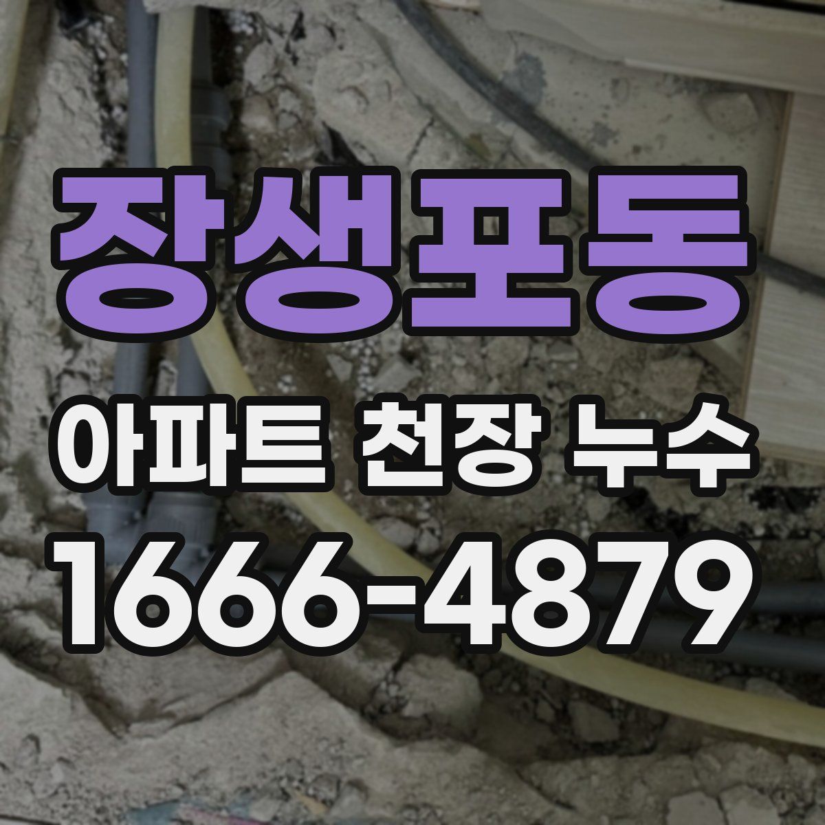 장생포동 아파트 천장 누수
