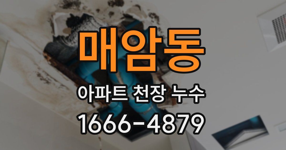 매암동 아파트 천장 누수
