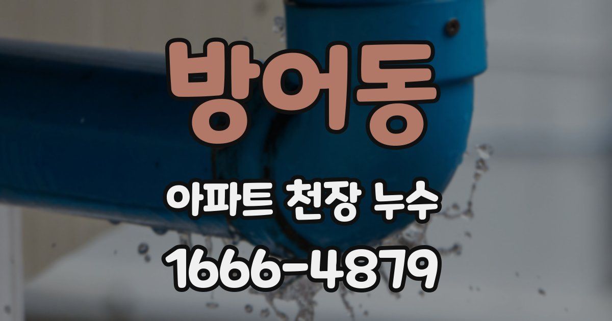 방어동 아파트 천장 누수