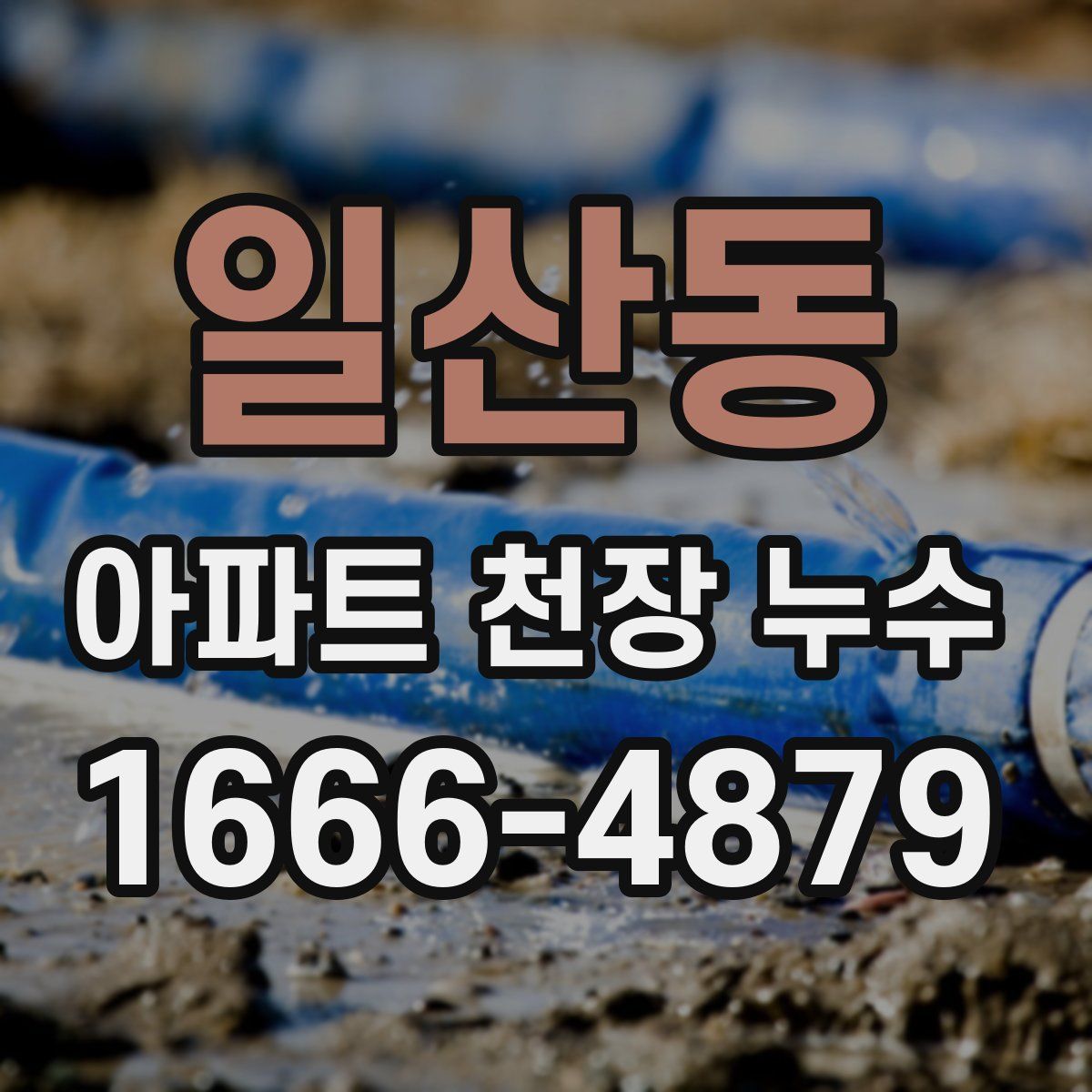 일산동 아파트 천장 누수