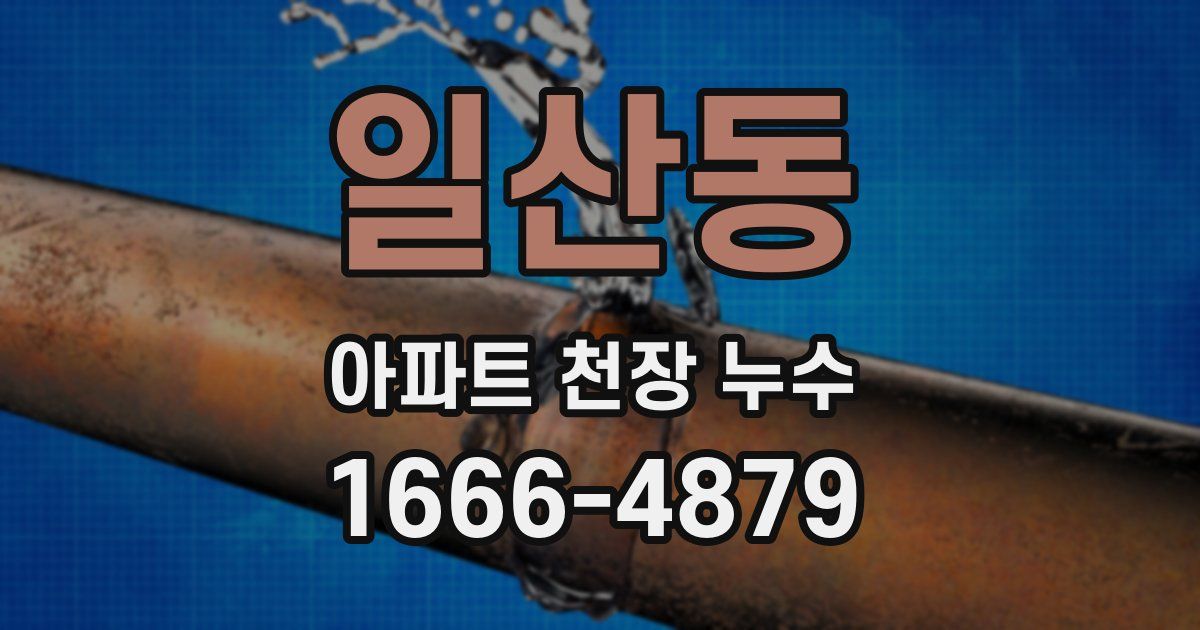 일산동 아파트 천장 누수