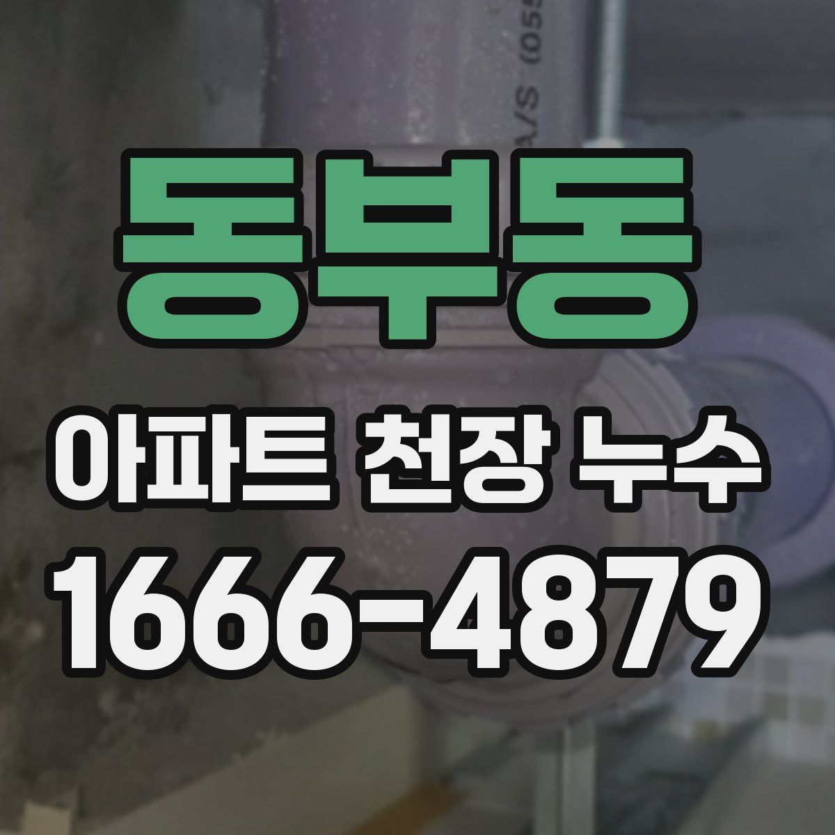 동부동 아파트 천장 누수
