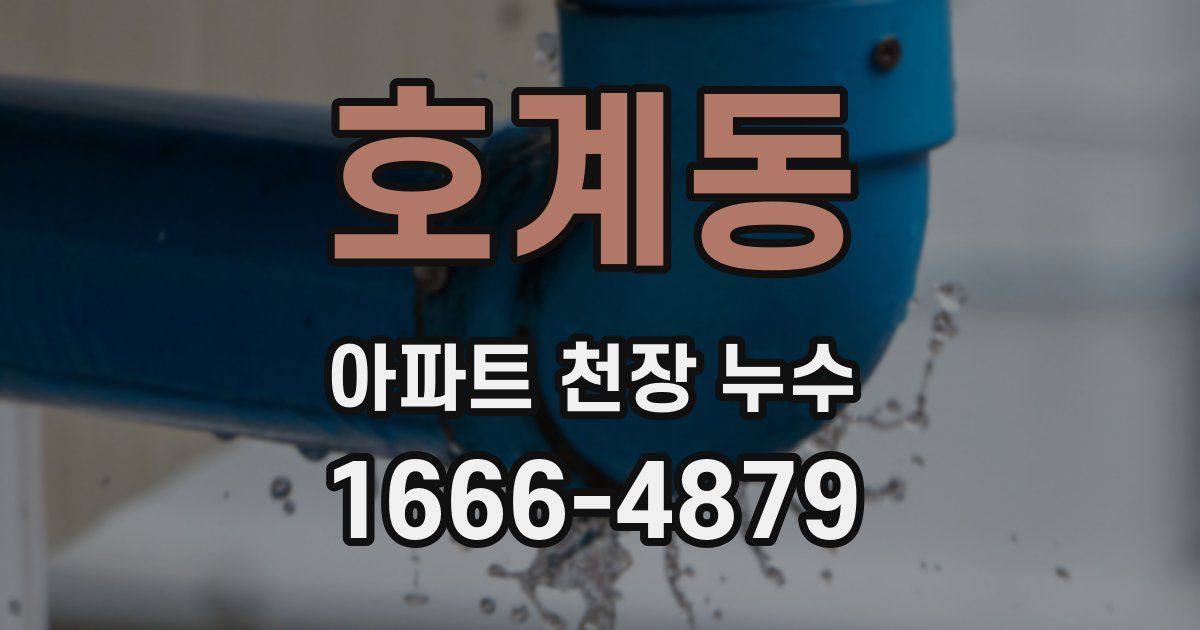 호계동 아파트 천장 누수