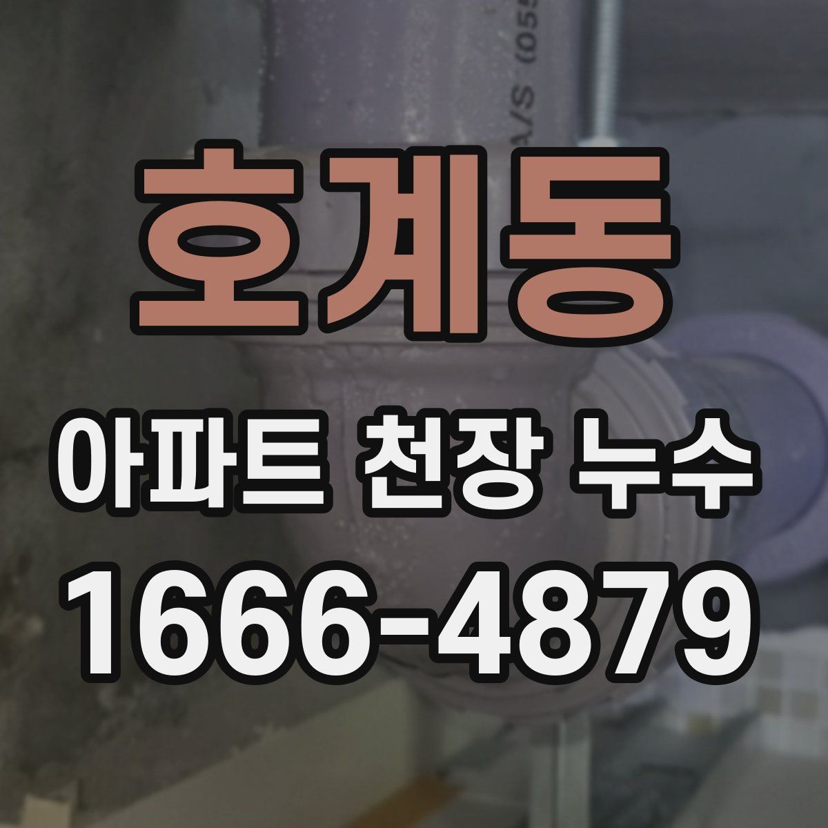 호계동 아파트 천장 누수