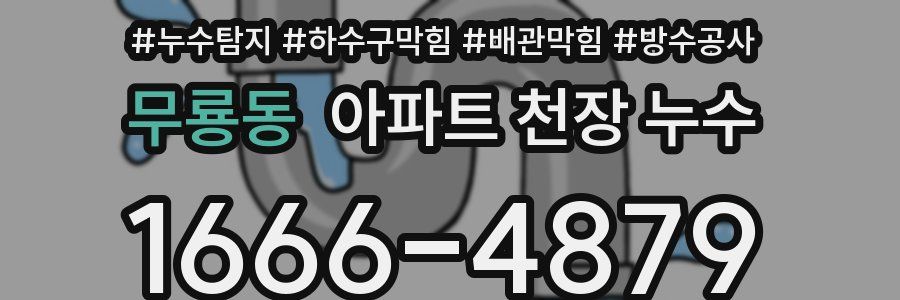 무룡동 아파트 천장 누수