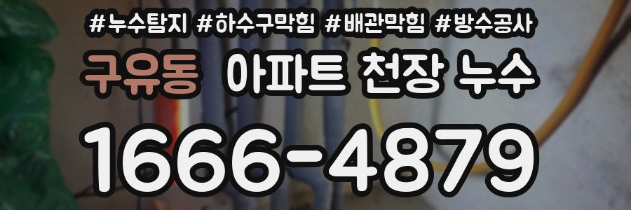 구유동 아파트 천장 누수
