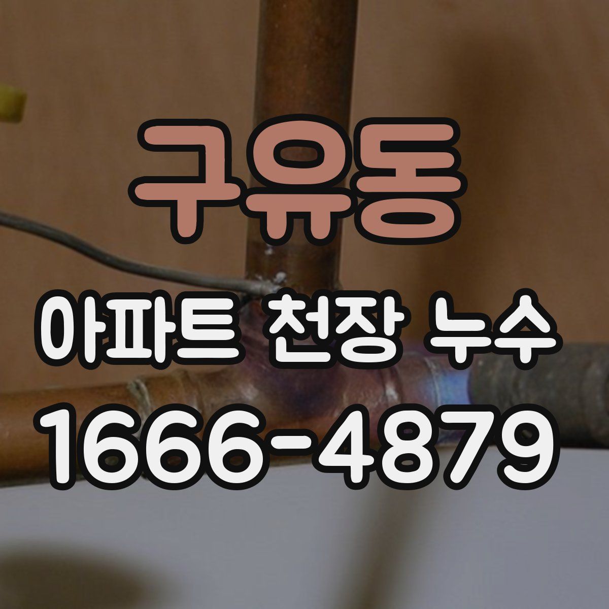 구유동 아파트 천장 누수