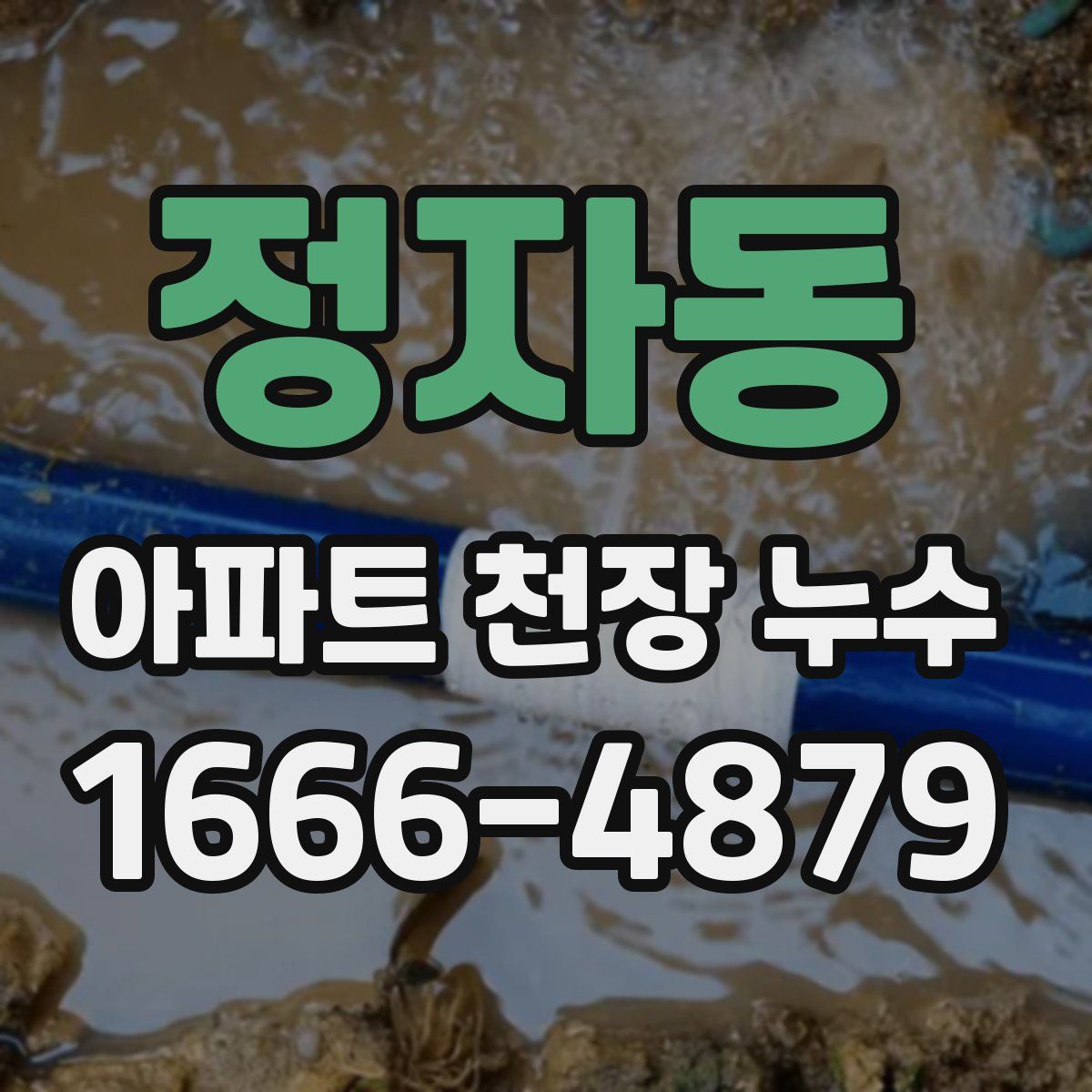 정자동 아파트 천장 누수