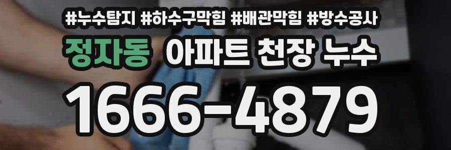 정자동 아파트 천장 누수