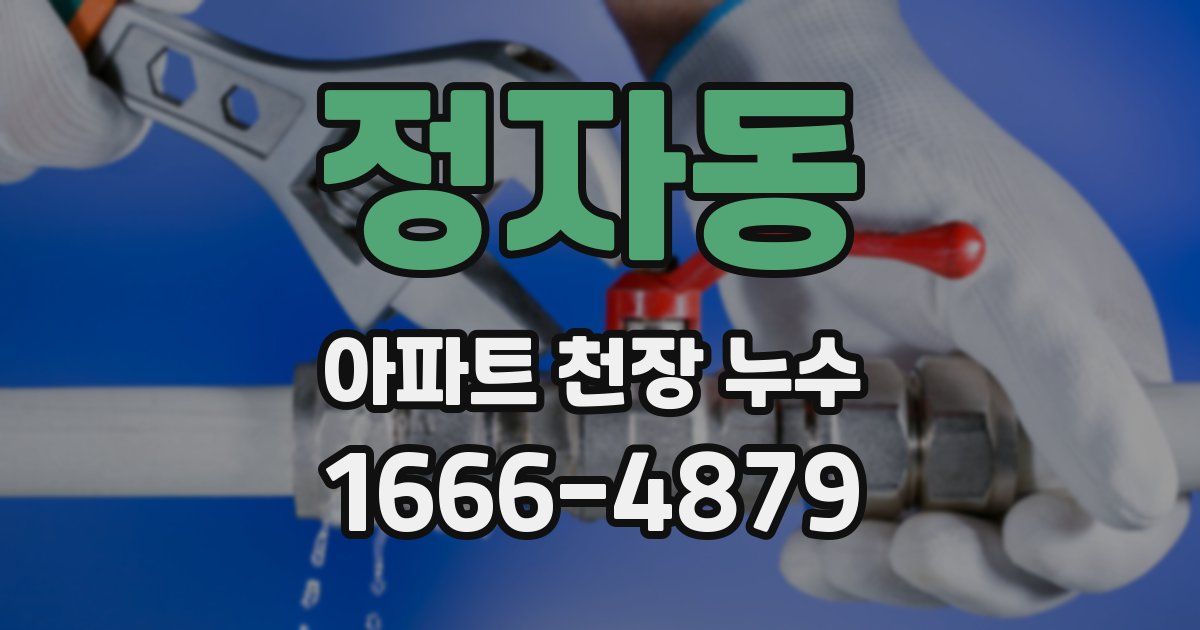 정자동 아파트 천장 누수