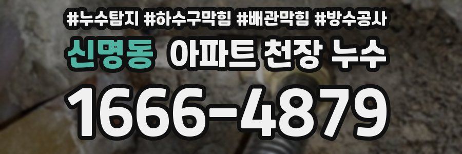 신명동 아파트 천장 누수
