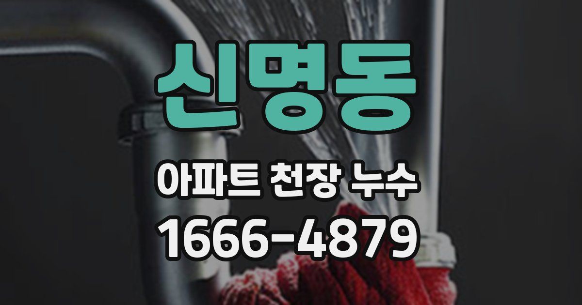 신명동 아파트 천장 누수