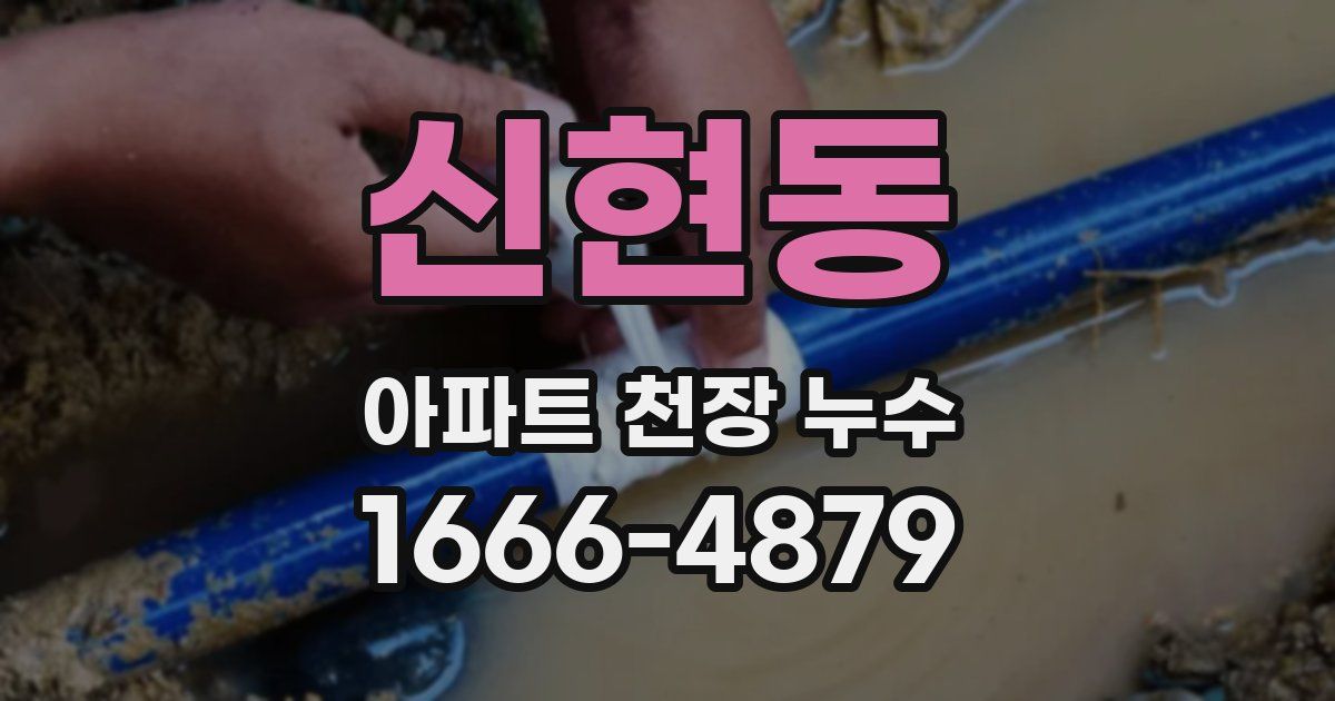 신현동 아파트 천장 누수