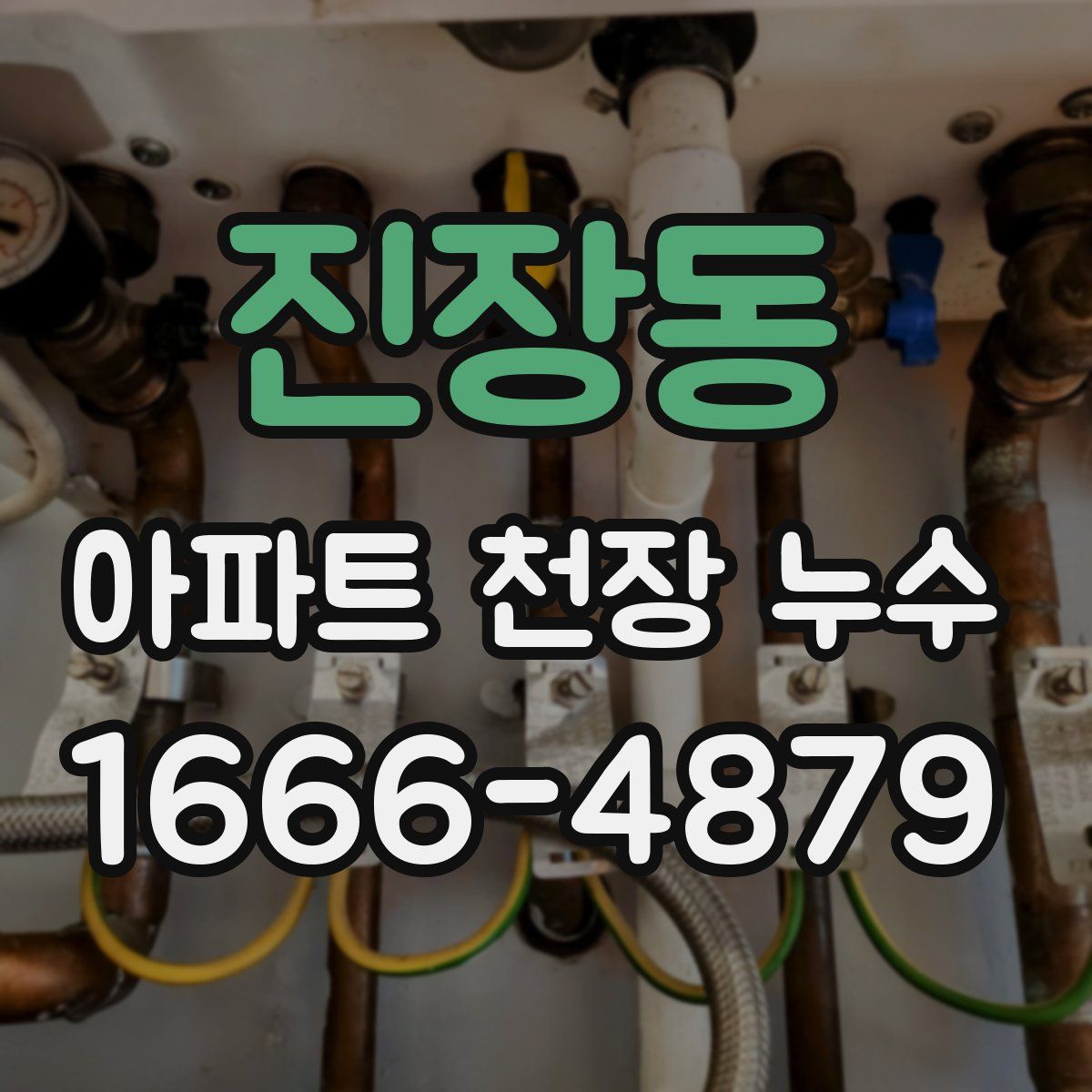 진장동 아파트 천장 누수