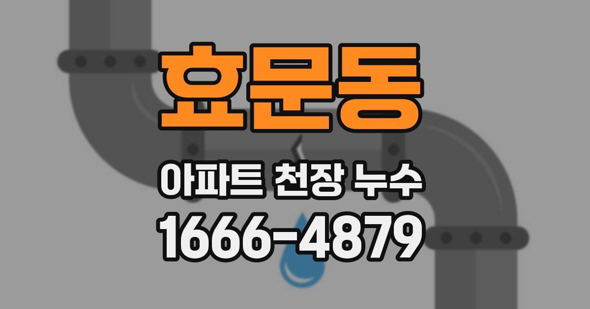 효문동 아파트 천장 누수