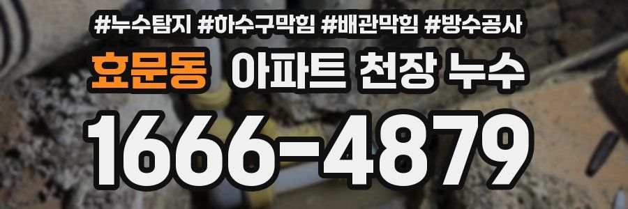 효문동 아파트 천장 누수