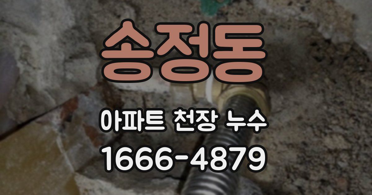 송정동 아파트 천장 누수