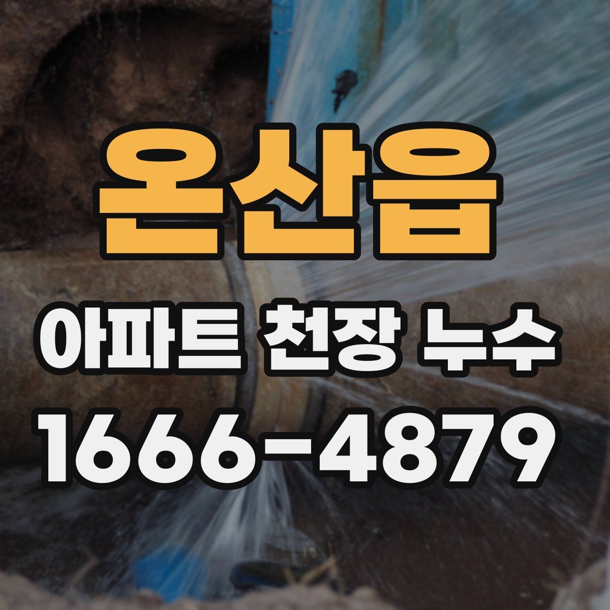 온산읍 아파트 천장 누수