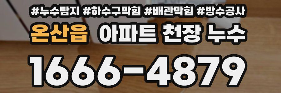 온산읍 아파트 천장 누수