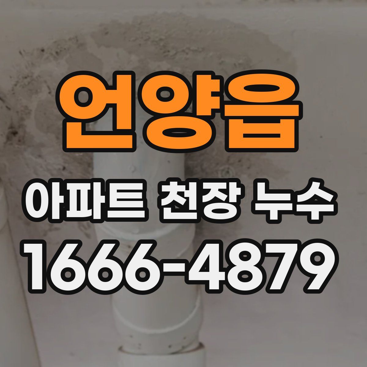 언양읍 아파트 천장 누수