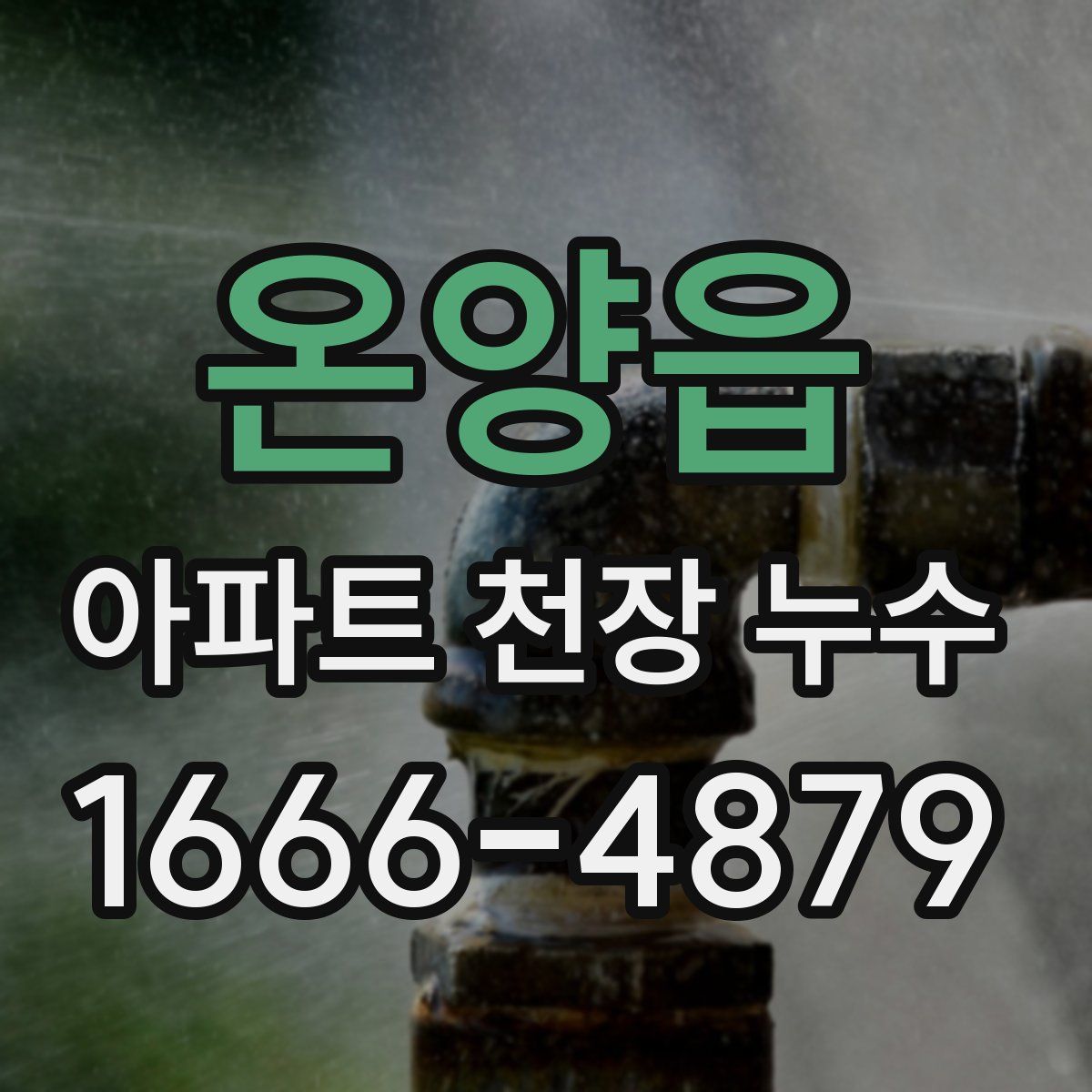 온양읍 아파트 천장 누수