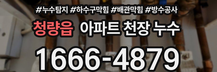 청량읍 아파트 천장 누수