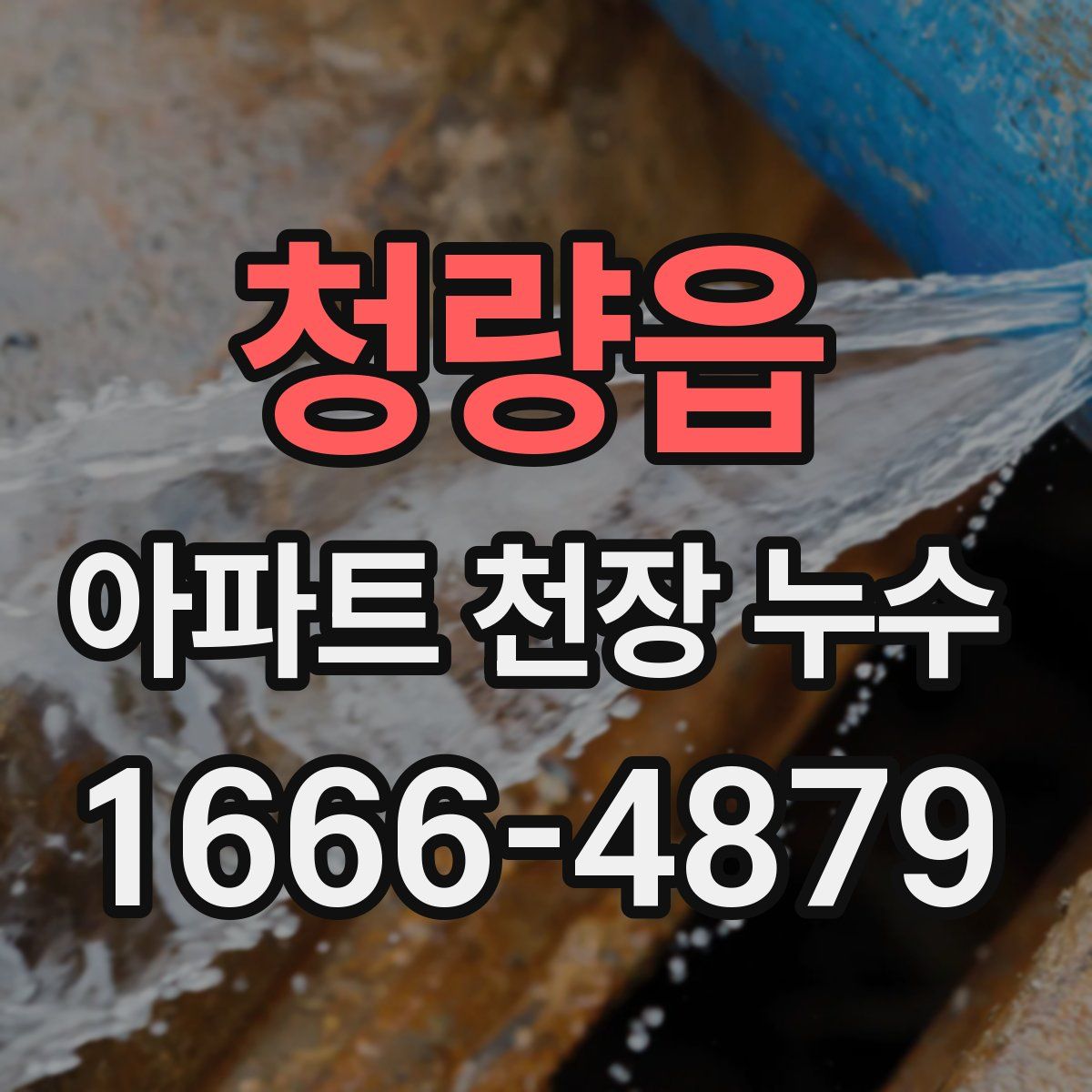 청량읍 아파트 천장 누수