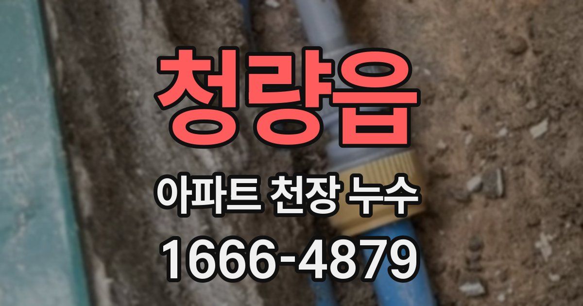 청량읍 아파트 천장 누수