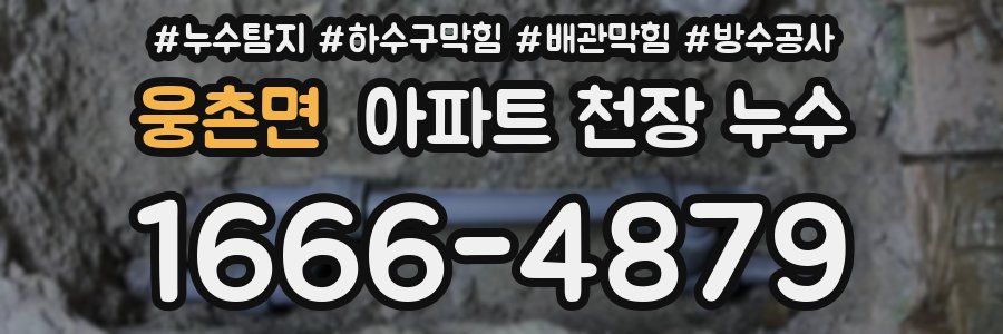 웅촌면 아파트 천장 누수