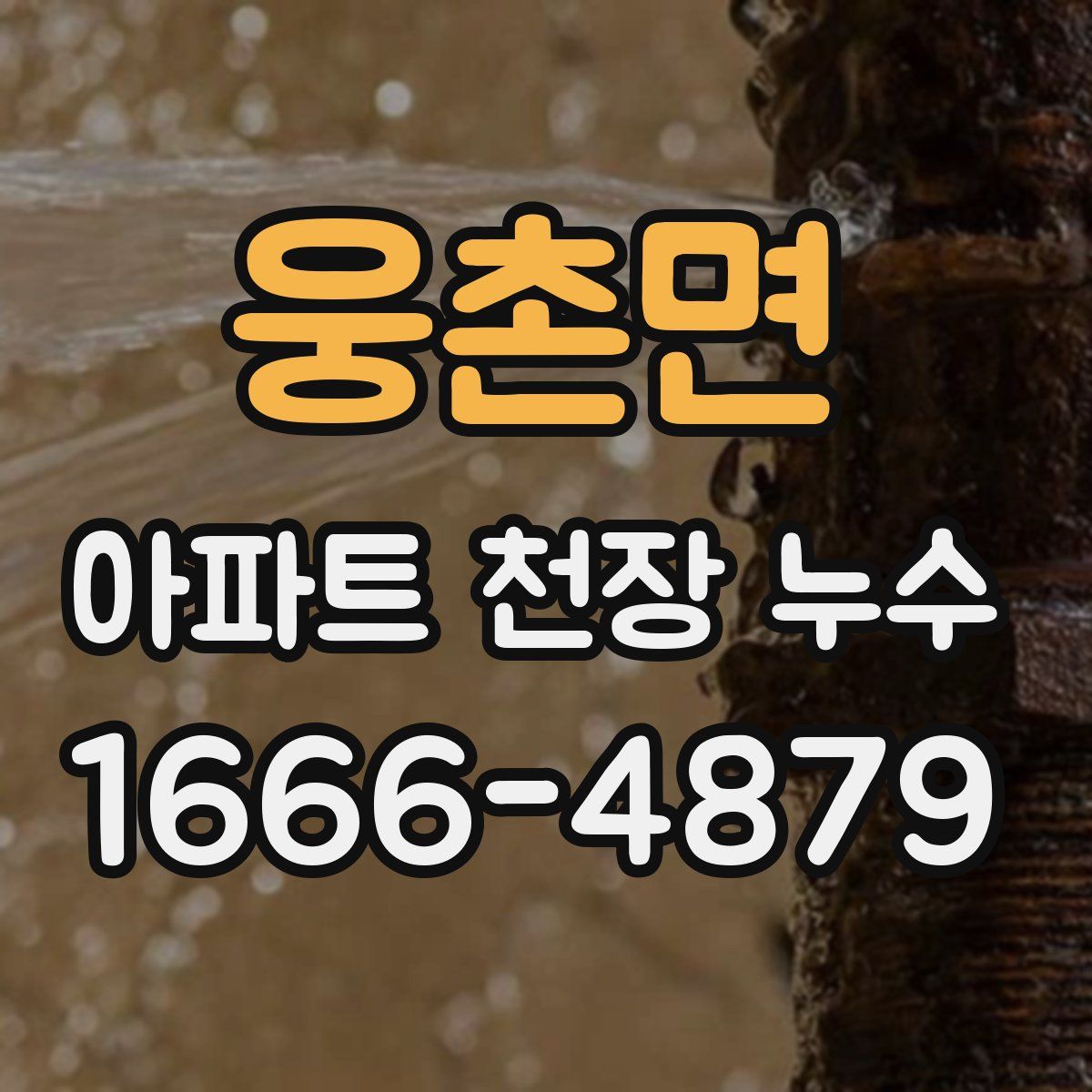 웅촌면 아파트 천장 누수