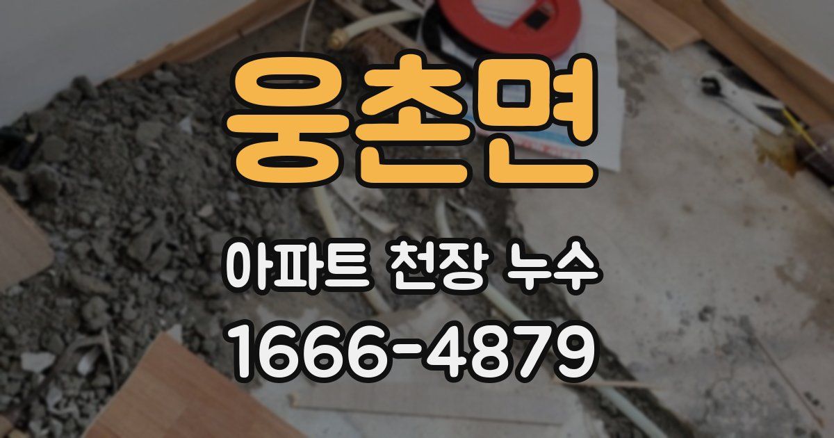 웅촌면 아파트 천장 누수