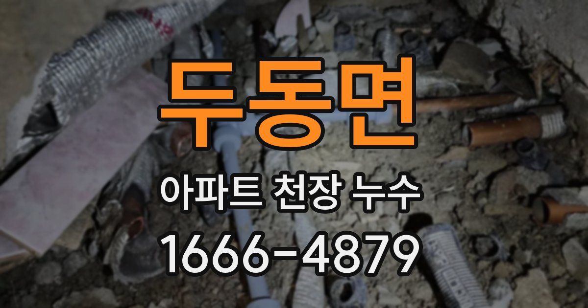 두동면 아파트 천장 누수