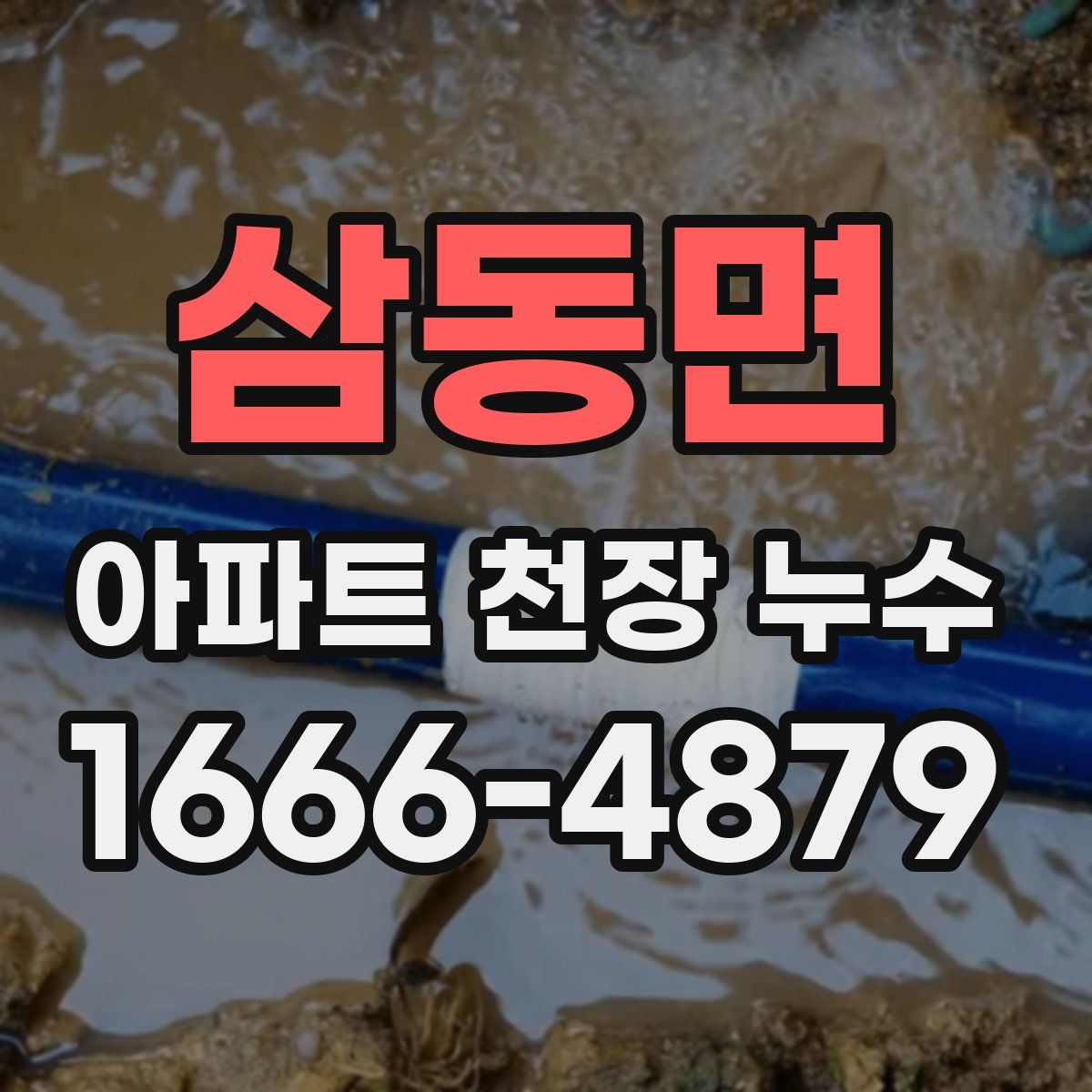 삼동면 아파트 천장 누수