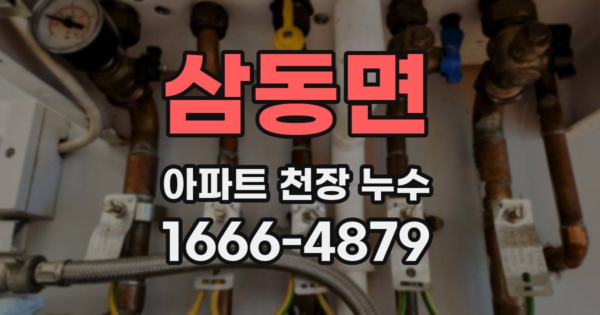 삼동면 아파트 천장 누수