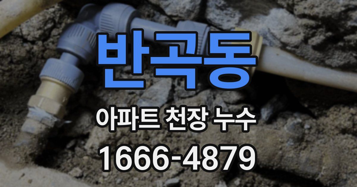 반곡동 아파트 천장 누수