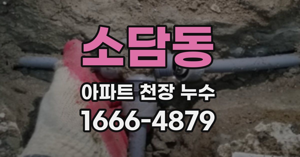 소담동 아파트 천장 누수