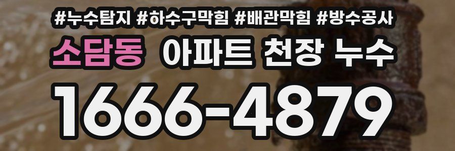소담동 아파트 천장 누수