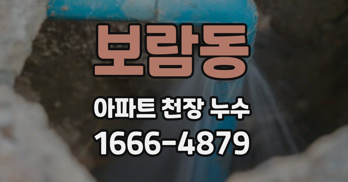보람동 아파트 천장 누수