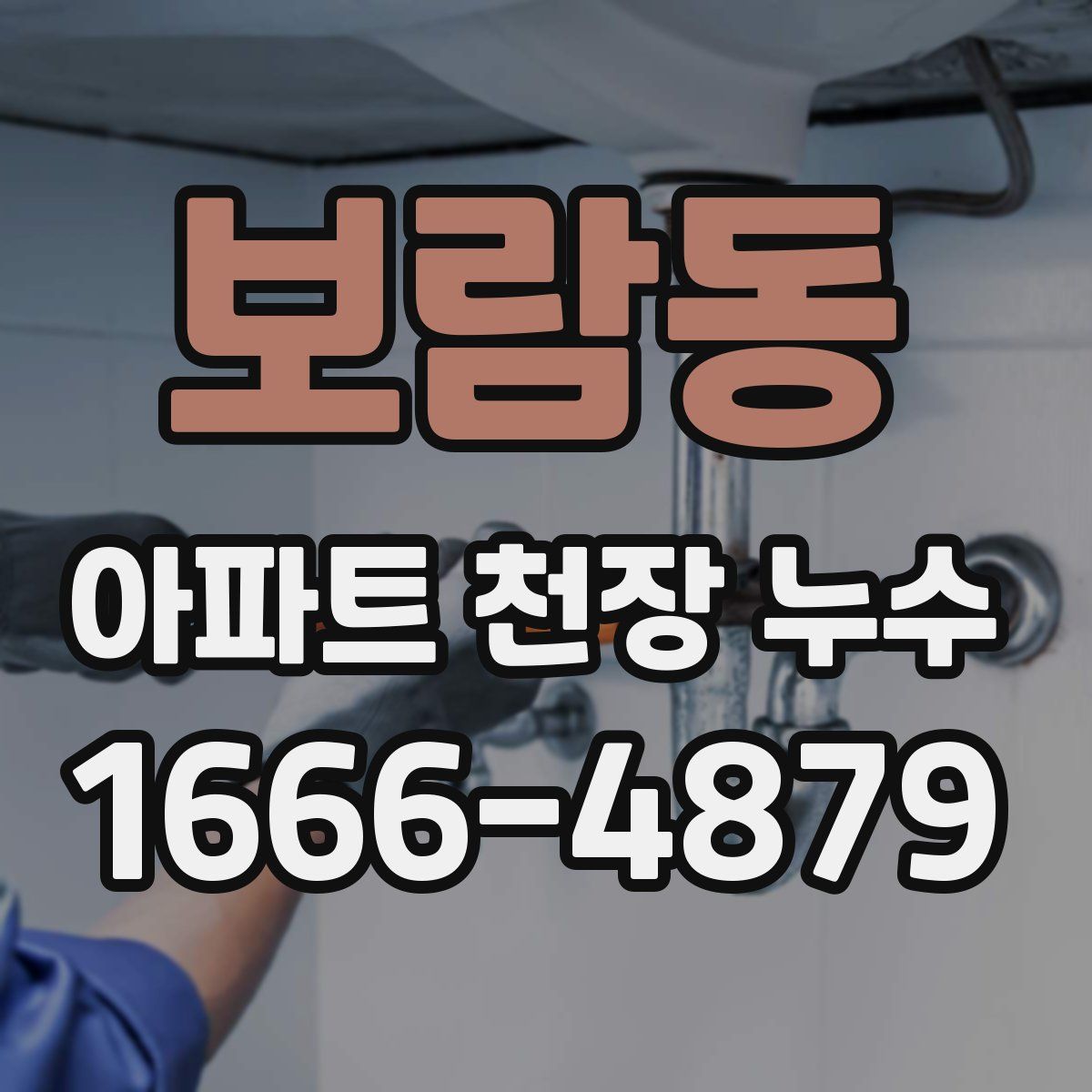 보람동 아파트 천장 누수