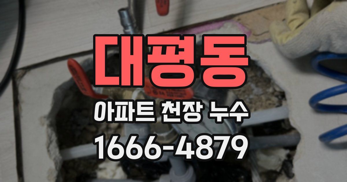 대평동 아파트 천장 누수