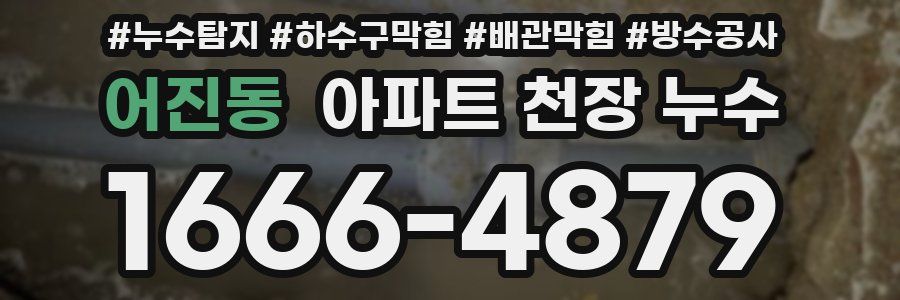 어진동 아파트 천장 누수